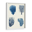 Impresión De Coral Azul En 4 Paneles - Fab Funky | Cuadro decorativo de Canvas Lab