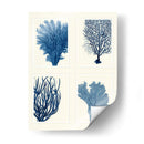 Impresión De Coral Azul En 4 Paneles - Fab Funky | Cuadro decorativo de Canvas Lab