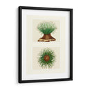 Anémona De Mar Verde En 2 Paneles - Fab Funky | Cuadro decorativo de Canvas Lab