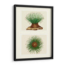 Anémona De Mar Verde En 2 Paneles - Fab Funky | Cuadro decorativo de Canvas Lab