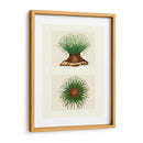 Anémona De Mar Verde En 2 Paneles - Fab Funky | Cuadro decorativo de Canvas Lab