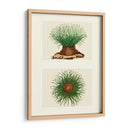 Anémona De Mar Verde En 2 Paneles - Fab Funky | Cuadro decorativo de Canvas Lab