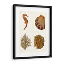Seahorse Coral Y Shell En 4 Paneles - Fab Funky | Cuadro decorativo de Canvas Lab