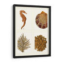 Seahorse Coral Y Shell En 4 Paneles - Fab Funky | Cuadro decorativo de Canvas Lab