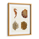 Seahorse Coral Y Shell En 4 Paneles - Fab Funky | Cuadro decorativo de Canvas Lab