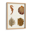Seahorse Coral Y Shell En 4 Paneles - Fab Funky | Cuadro decorativo de Canvas Lab