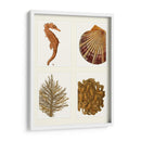Seahorse Coral Y Shell En 4 Paneles - Fab Funky | Cuadro decorativo de Canvas Lab