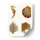 Seahorse Coral Y Shell En 4 Paneles - Fab Funky | Cuadro decorativo de Canvas Lab