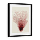Corales Rojos 2 D - Fab Funky | Cuadro decorativo de Canvas Lab