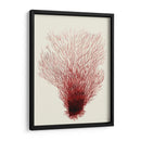 Corales Rojos 2 D - Fab Funky | Cuadro decorativo de Canvas Lab