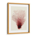 Corales Rojos 2 D - Fab Funky | Cuadro decorativo de Canvas Lab