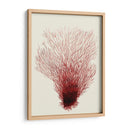Corales Rojos 2 D - Fab Funky | Cuadro decorativo de Canvas Lab