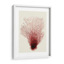 Corales Rojos 2 D - Fab Funky | Cuadro decorativo de Canvas Lab