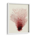 Corales Rojos 2 D - Fab Funky | Cuadro decorativo de Canvas Lab