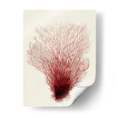 Corales Rojos 2 D - Fab Funky | Cuadro decorativo de Canvas Lab