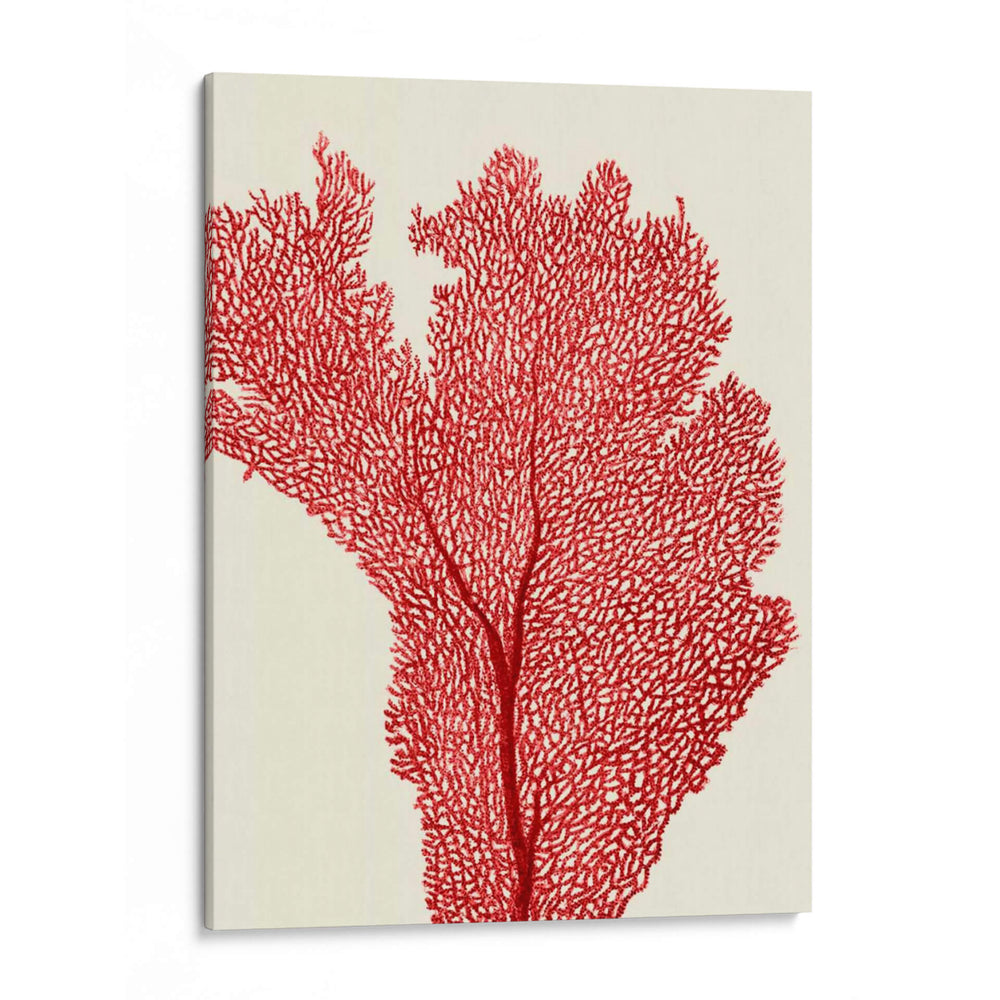 Corales Rojos 2 E - Fab Funky | Cuadro decorativo de Canvas Lab