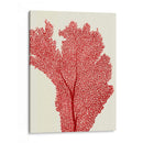 Corales Rojos 2 E - Fab Funky | Cuadro decorativo de Canvas Lab