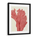 Corales Rojos 2 E - Fab Funky | Cuadro decorativo de Canvas Lab