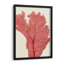 Corales Rojos 2 E - Fab Funky | Cuadro decorativo de Canvas Lab