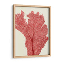 Corales Rojos 2 E - Fab Funky | Cuadro decorativo de Canvas Lab