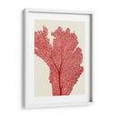 Corales Rojos 2 E - Fab Funky | Cuadro decorativo de Canvas Lab