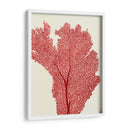 Corales Rojos 2 E - Fab Funky | Cuadro decorativo de Canvas Lab