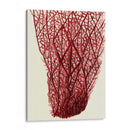 Corales Rojos 2 F - Fab Funky | Cuadro decorativo de Canvas Lab
