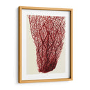 Corales Rojos 2 F - Fab Funky | Cuadro decorativo de Canvas Lab