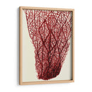 Corales Rojos 2 F - Fab Funky | Cuadro decorativo de Canvas Lab