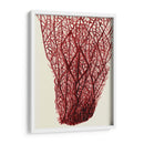 Corales Rojos 2 F - Fab Funky | Cuadro decorativo de Canvas Lab
