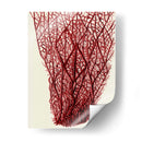 Corales Rojos 2 F - Fab Funky | Cuadro decorativo de Canvas Lab