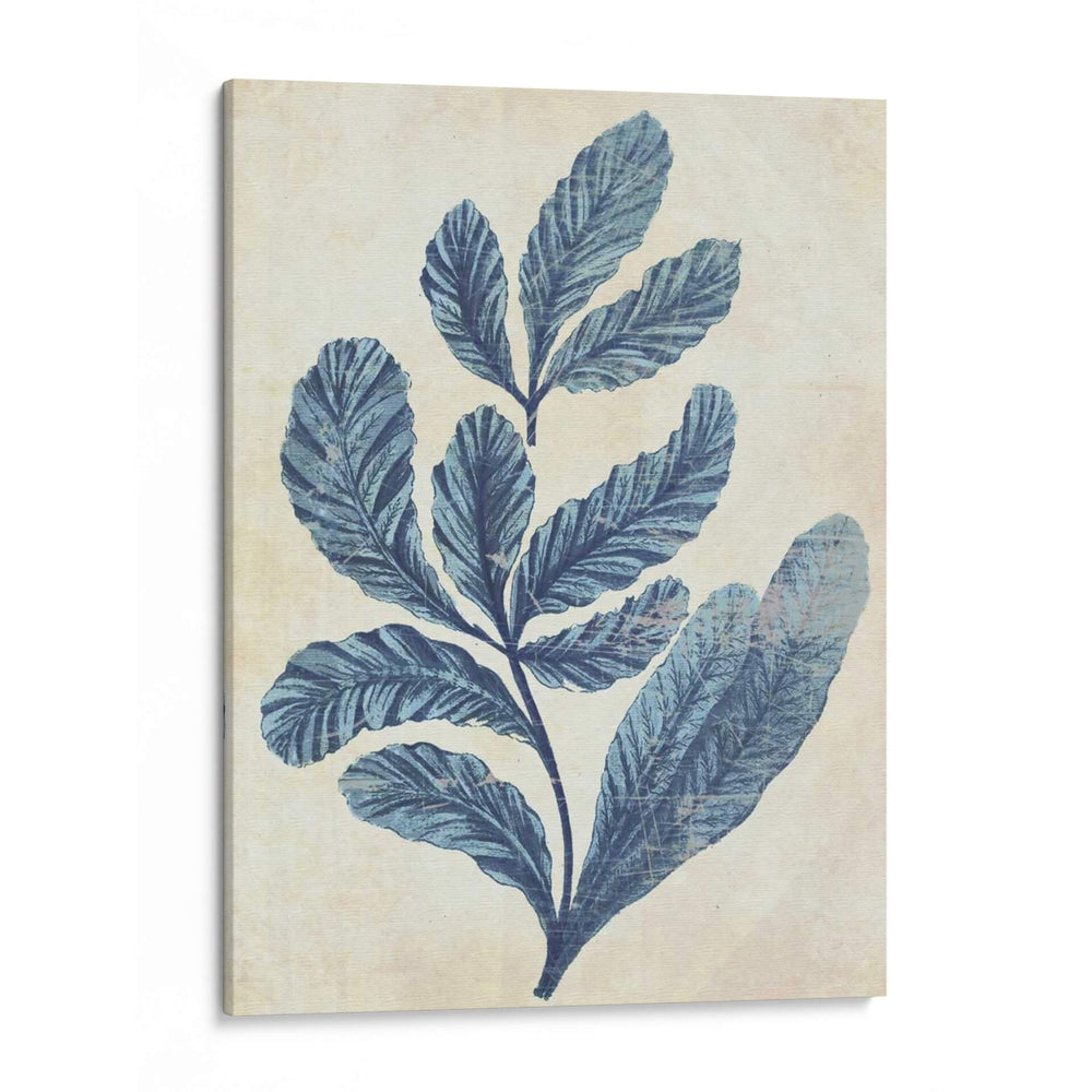 Antiguo Azul Seaweed 2 A - Fab Funky | Cuadro decorativo de Canvas Lab