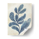 Antiguo Azul Seaweed 2 A - Fab Funky | Cuadro decorativo de Canvas Lab