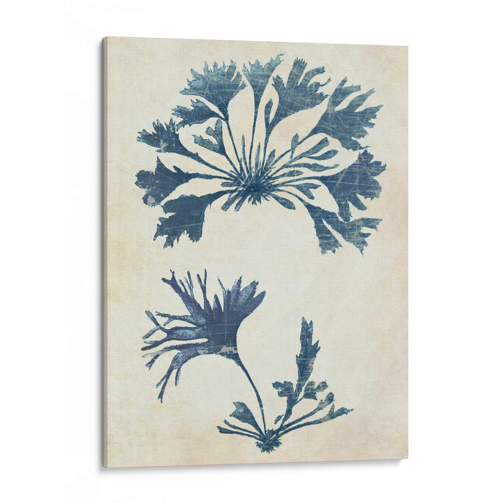 Seaweed De Índigo Azul 2 D - Fab Funky | Cuadro decorativo de Canvas Lab