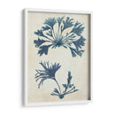 Seaweed De Índigo Azul 2 D - Fab Funky | Cuadro decorativo de Canvas Lab