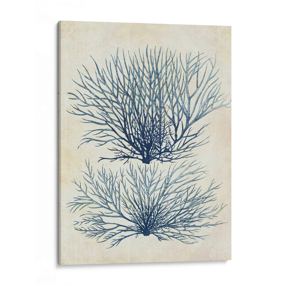 Alga Azul Índigo 1 A - Fab Funky | Cuadro decorativo de Canvas Lab