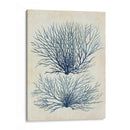 Alga Azul Índigo 1 A - Fab Funky | Cuadro decorativo de Canvas Lab