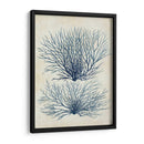 Alga Azul Índigo 1 A - Fab Funky | Cuadro decorativo de Canvas Lab