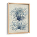 Alga Azul Índigo 1 A - Fab Funky | Cuadro decorativo de Canvas Lab