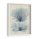 Alga Azul Índigo 1 A - Fab Funky | Cuadro decorativo de Canvas Lab