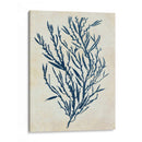 Seaweed Azul De Índigo 3 B - Fab Funky | Cuadro decorativo de Canvas Lab