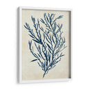 Seaweed Azul De Índigo 3 B - Fab Funky | Cuadro decorativo de Canvas Lab