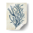 Seaweed Azul De Índigo 3 B - Fab Funky | Cuadro decorativo de Canvas Lab