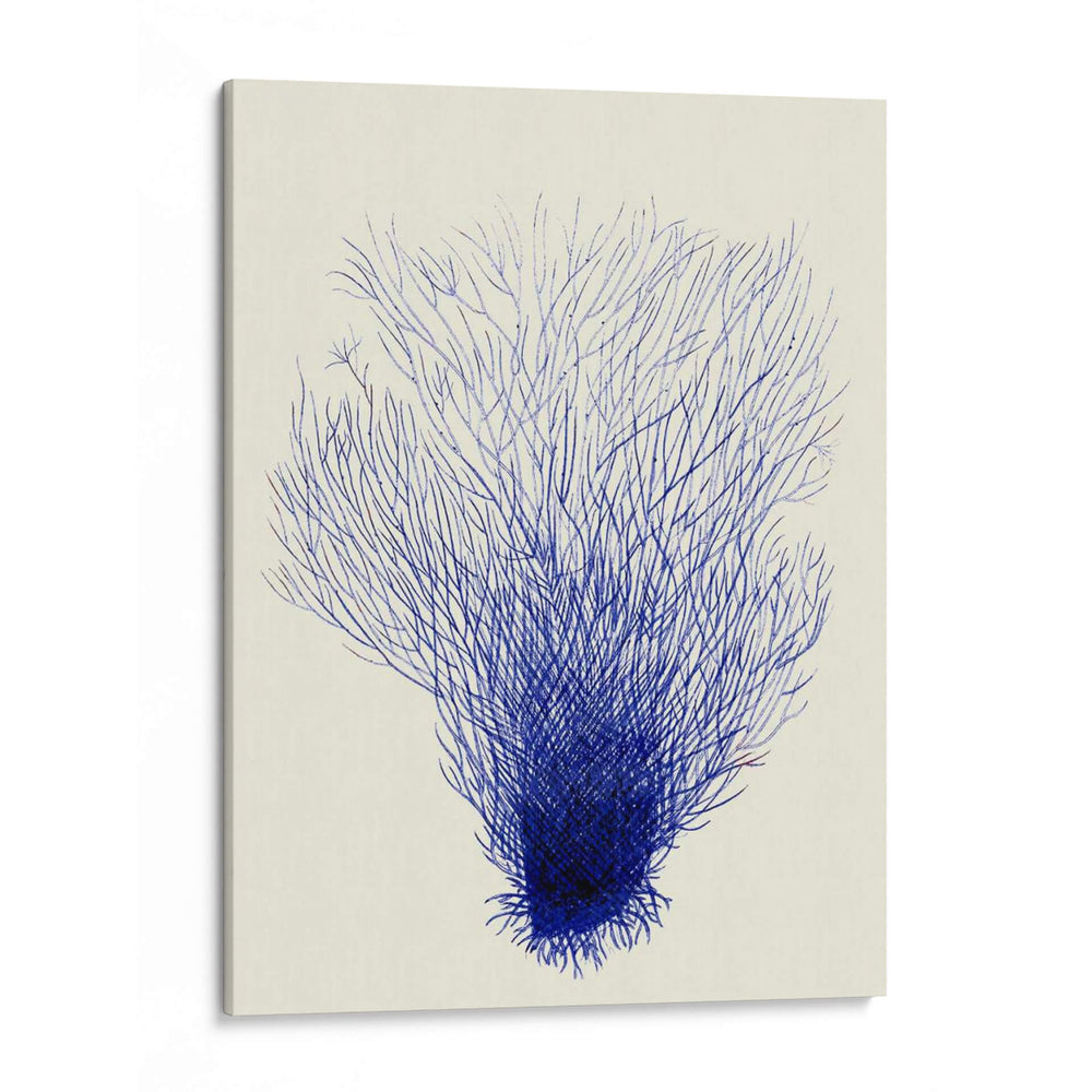 Corales Azules 2 D - Fab Funky | Cuadro decorativo de Canvas Lab