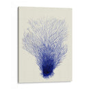 Corales Azules 2 D - Fab Funky | Cuadro decorativo de Canvas Lab