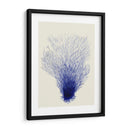 Corales Azules 2 D - Fab Funky | Cuadro decorativo de Canvas Lab