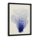 Corales Azules 2 D - Fab Funky | Cuadro decorativo de Canvas Lab