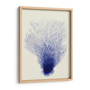 Corales Azules 2 D - Fab Funky | Cuadro decorativo de Canvas Lab