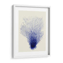 Corales Azules 2 D - Fab Funky | Cuadro decorativo de Canvas Lab