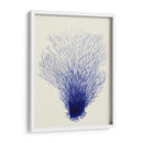 Corales Azules 2 D - Fab Funky | Cuadro decorativo de Canvas Lab